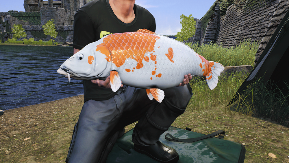 Euro Fishing: Ultimate Edition (для ПК, цифровой код доступа)