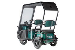 Электротрицикл Wanshida NIPLA 500 (1000Вт, 60B)