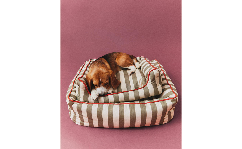 Лежак для животных Zara Home, в полоску с кантом, 50 40 18 см