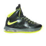 Кроссовки Nike Lebron 10 Dunkman