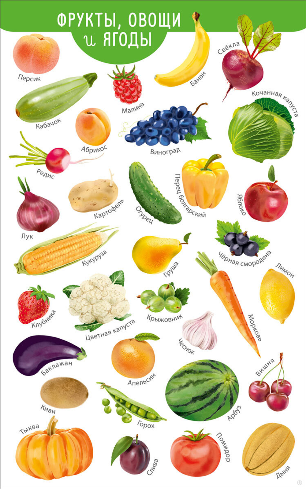 Мои первые развивающие плакаты. 24 плаката