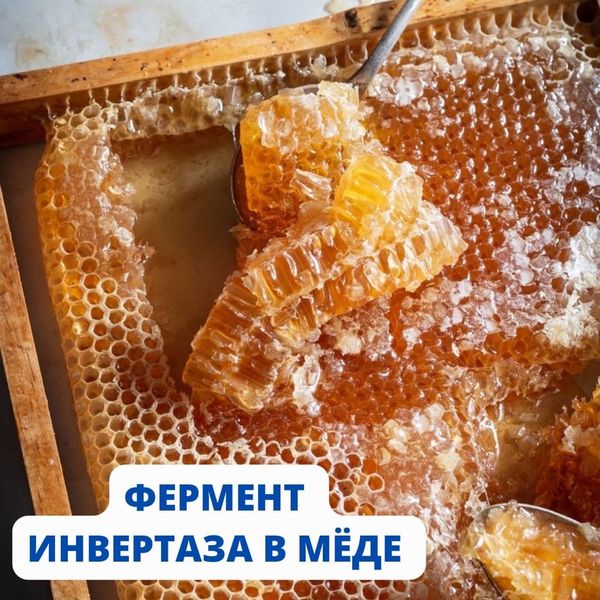 ИНВЕРТАЗА В МЁДЕ