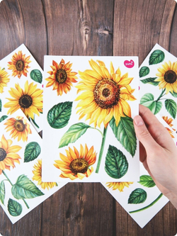 Декоративные наклейки цветы для интерьера