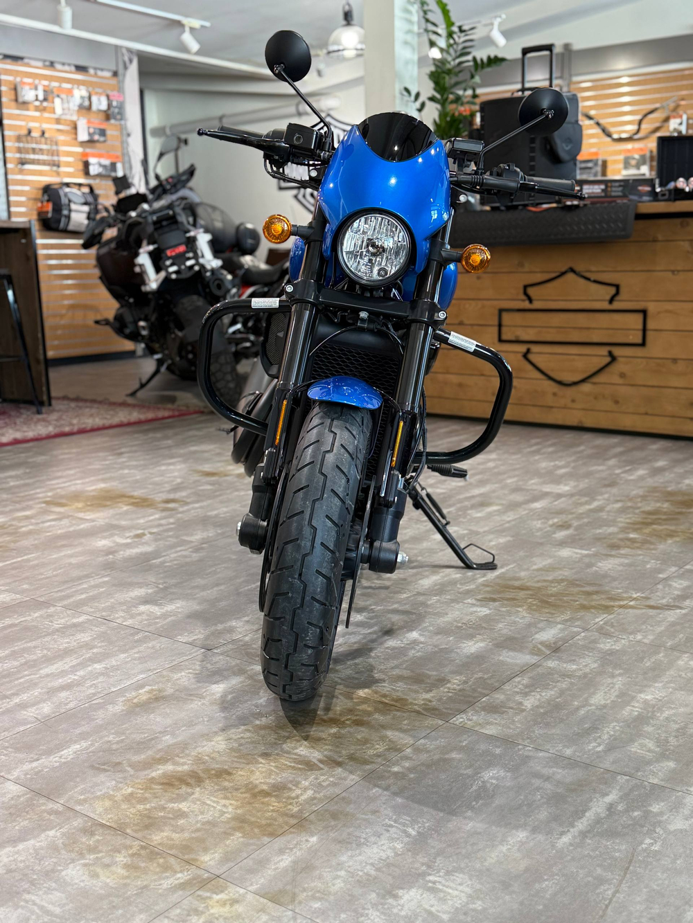Harley-Davidson Street Rod 750 (с НДС)