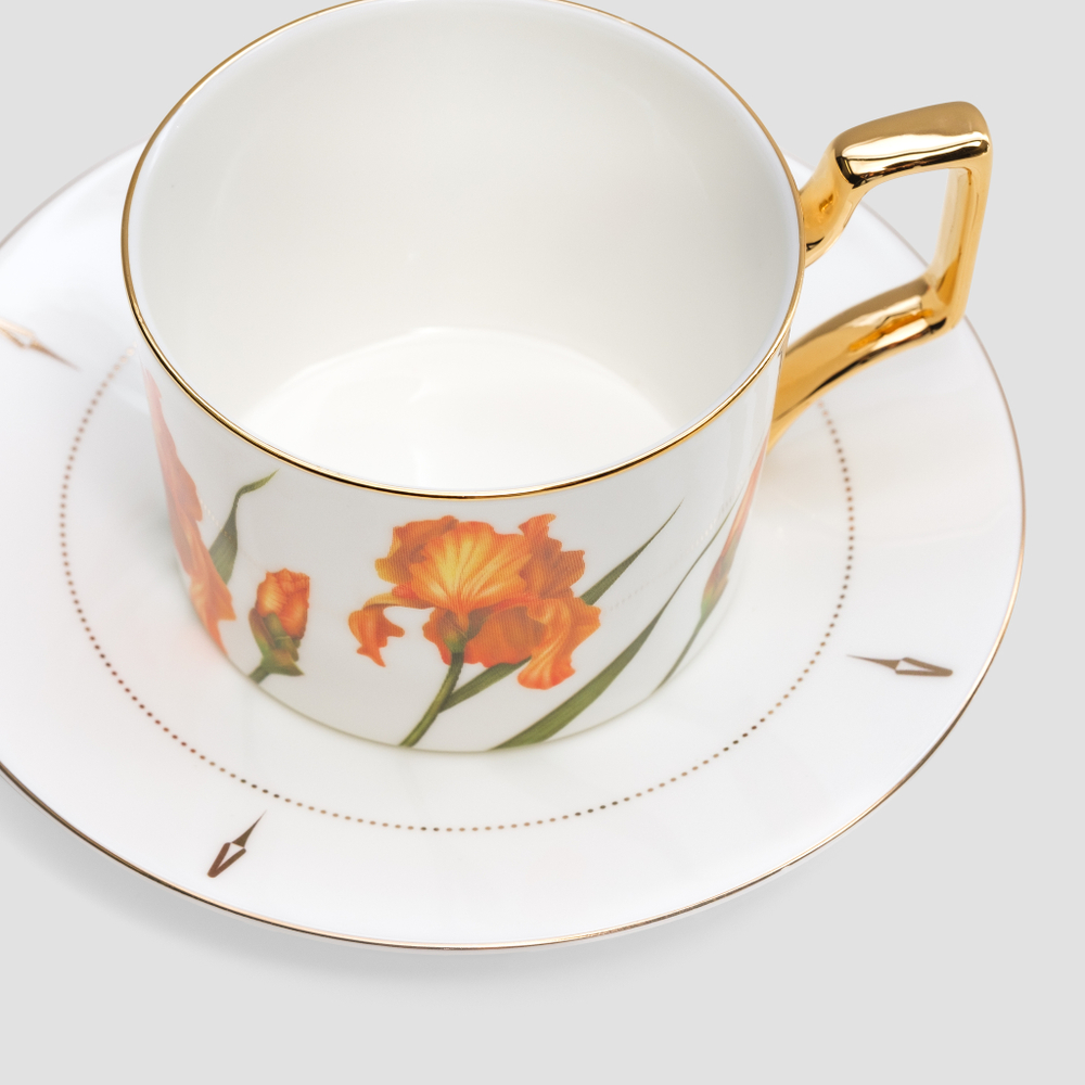 Чайная пара Farforite «Ирисы / Botanicum» 250 мл в подарочной коробке