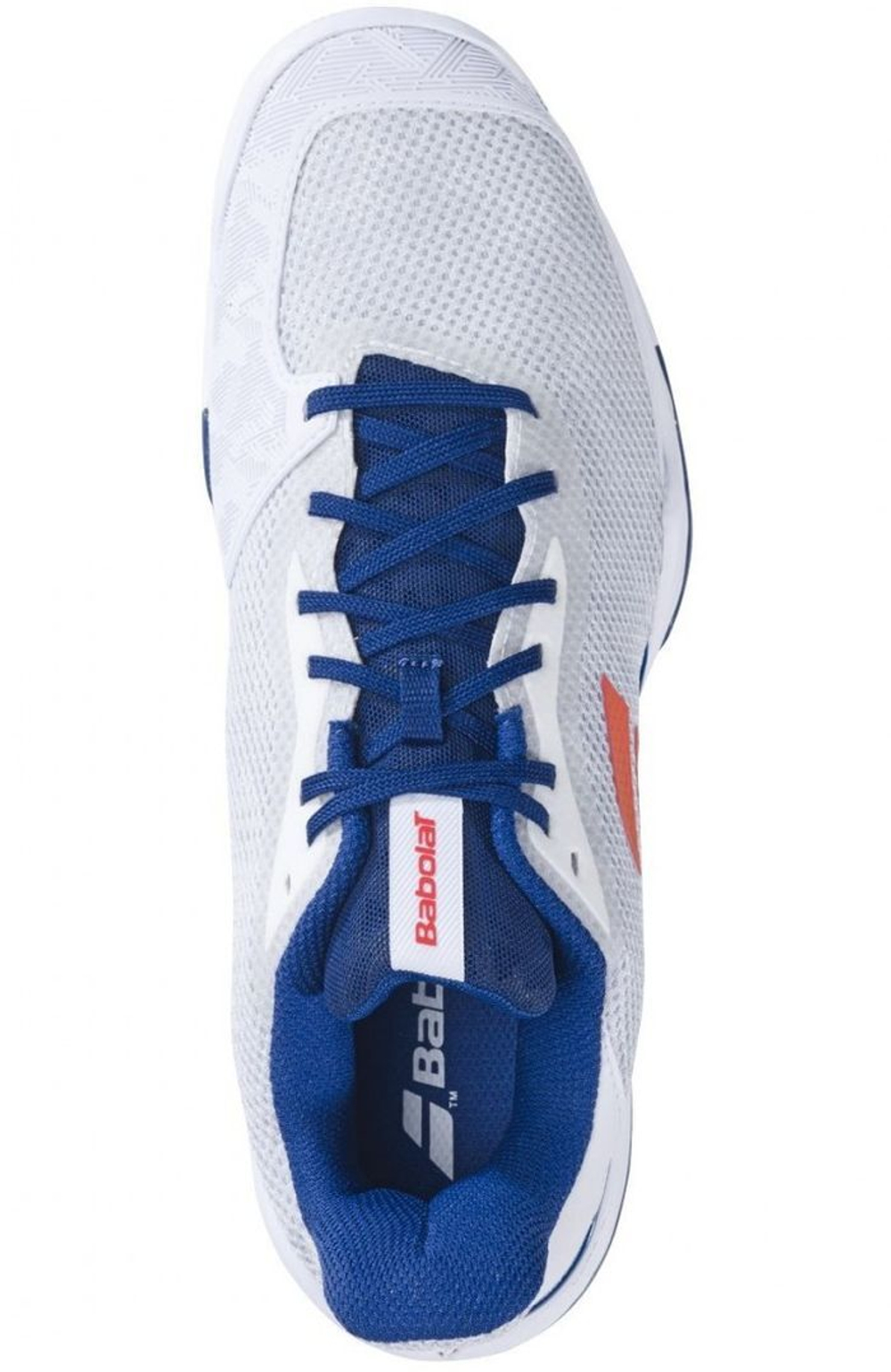 Мужские кроссовки теннисные Babolat Jet Tere All Court Men - white/estate blue