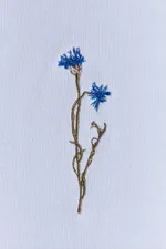 Худи Гербарий Василек Light серо-голубое