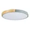 SLE201372-01 Светильник потолочный Серый, Светлое дерево/Белый LED 1*40W 3000K/4000K/6000K DELIA