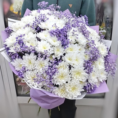 Букет из 13 хризантем сорта "BALTICA WHITE" и сиреневой гипсофилы