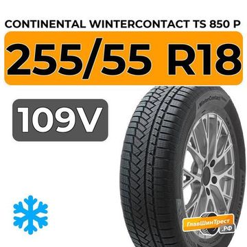 Continental WinterContact TS 850 P SUV 255/55 R18 109V XL