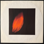 Peter Gabriel ‎– Shaking The Tree: Twelve Golden Greats (Европа 1990г.)