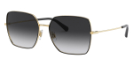 Dolce & Gabbana DG2242 13348G