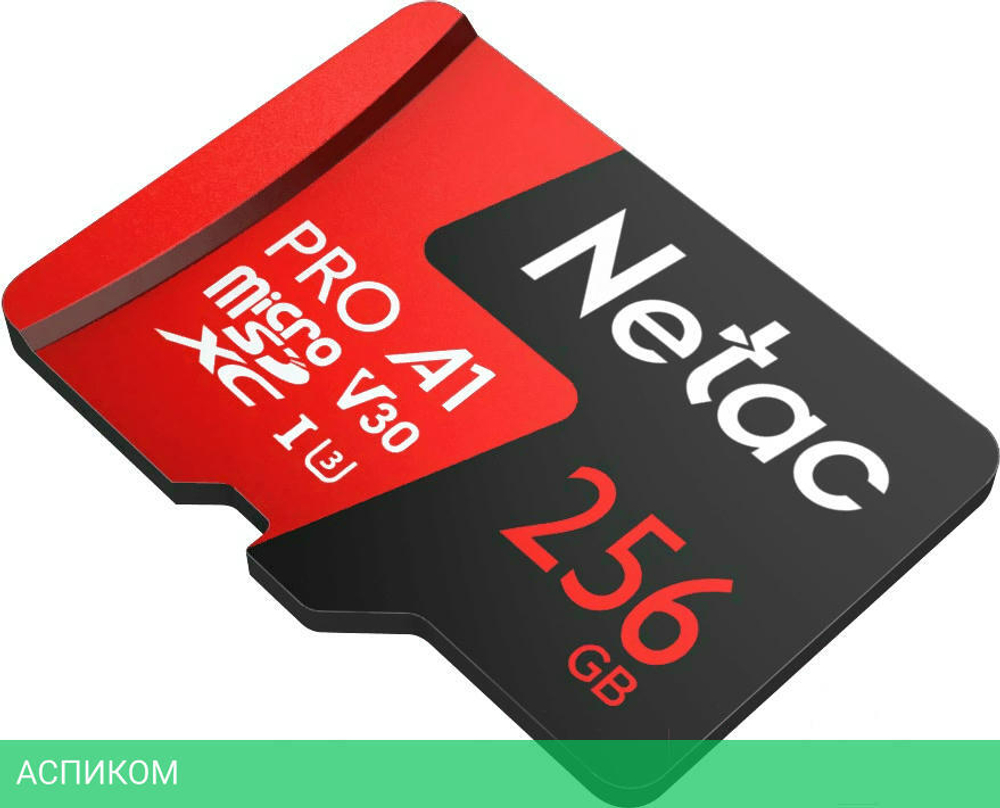 Карта памяти Netac NT02P500PRO-256G-S