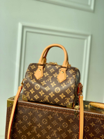 Louis Vuitton Speedy Trunk 20