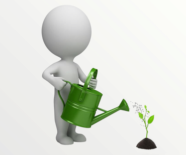 Образование - Школа Микрозелени