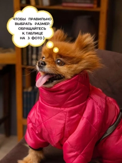 Зимний комбинезон для собак, одежда для животных