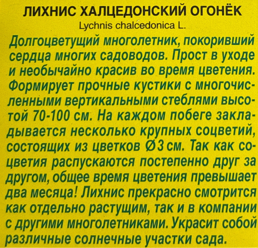 Лихнис Огонек СМЦ-542