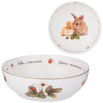 Салатник фарфоровый 600мл, 15,5*5см «Лови счастье»