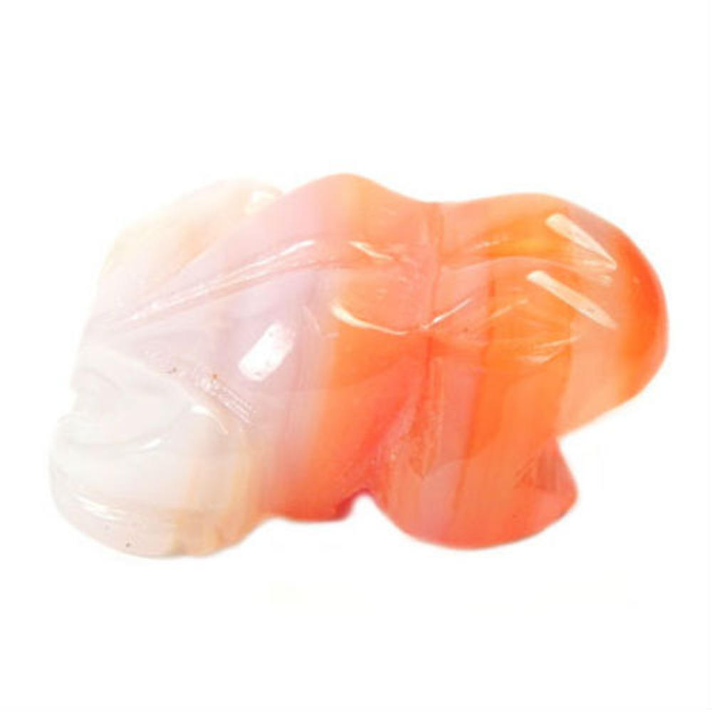 Лягушка сердолик асс.