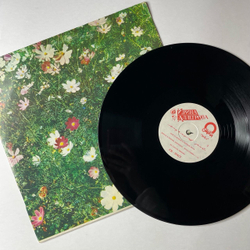 Винтажная виниловая пластинка LP Ирина Аллегрова Странник Мой (Россия 1992)