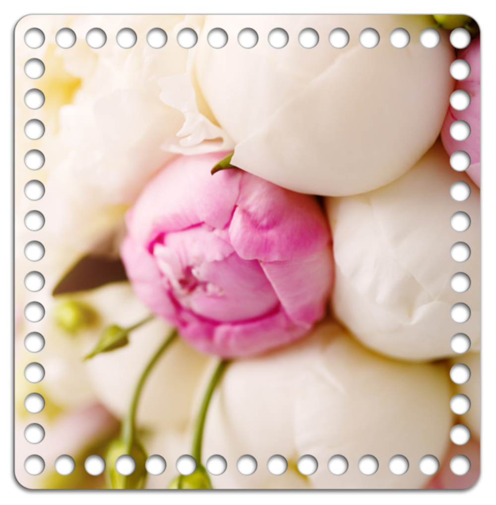 Донышко Принт 20*20см