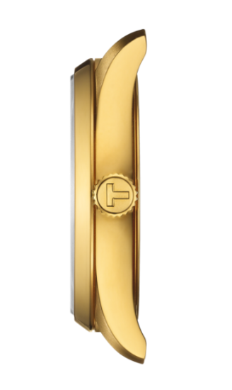 Женские часы Tissot PR 100 T150.210.33.021.00