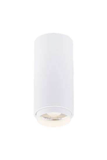 046MZ SWT (1/30) Светильник