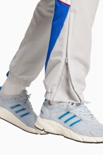 Штаны adidas FC Bayern 24/25 Urban Purist Track - серый