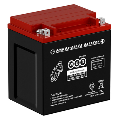 Аккумулятор WBR MT AGM YTX30L-BS