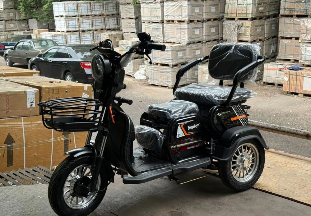 Электрический Трицикл, Трехколесный электроскутер Беркут EV3-2025(Wenbox) красный