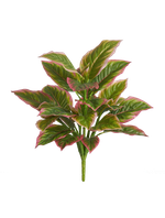 Диффенбахия куст нежно-зелёно-розовый в-52 см, д-40 см (Sensitive Botanic) 6/60 20.1159PK