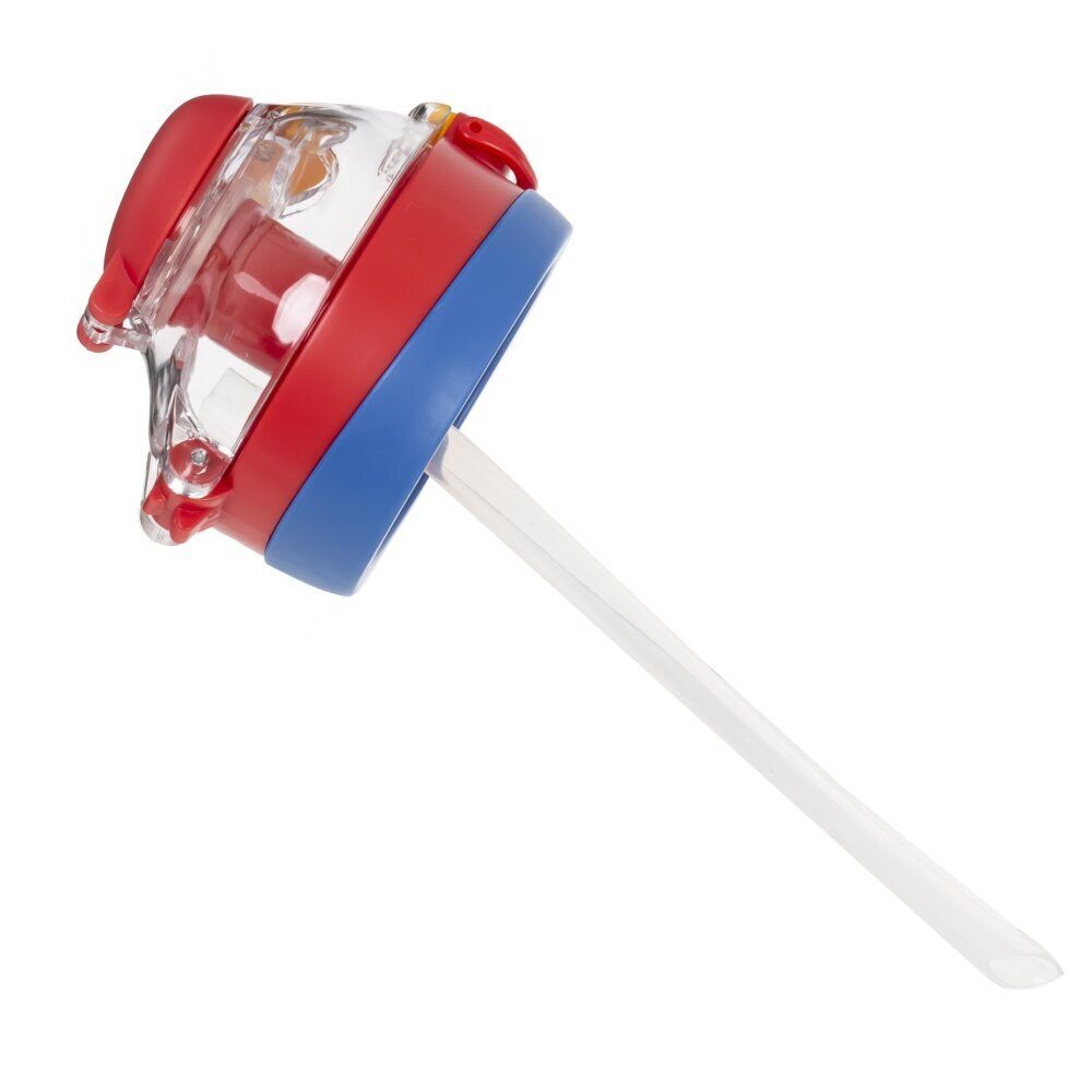 GAEM Бутылка, 550 мл, L8,5 W8,5 H19,5 см, 4в.