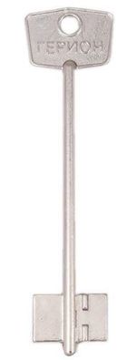 Заготовка дверняк ГЕРИОН 4