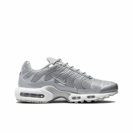 Nike Air Max Plus Metallic Silver