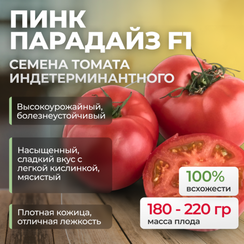 ПИНК ПАРАДАЙЗ F1 семена томата (Sakata | Alexagro)
