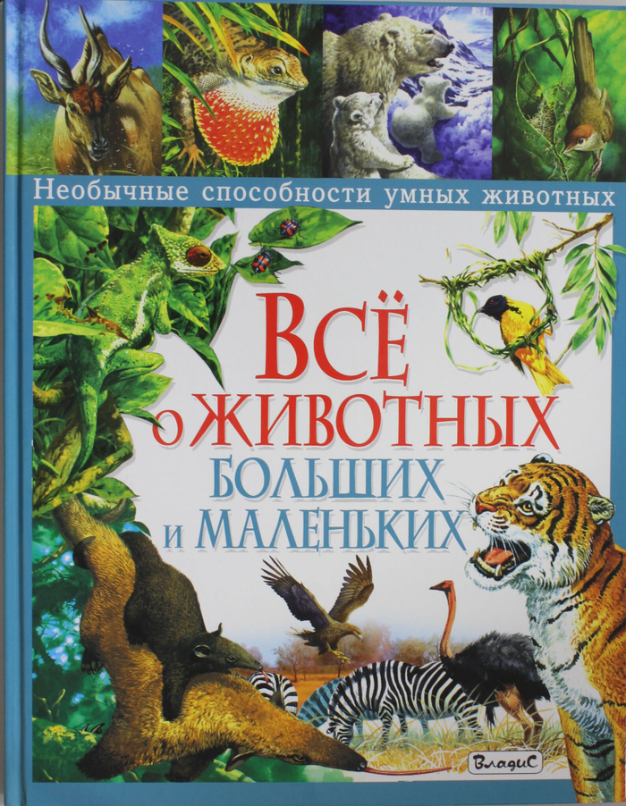 Все о животных больших и маленьких.Необычные способности умных животных
