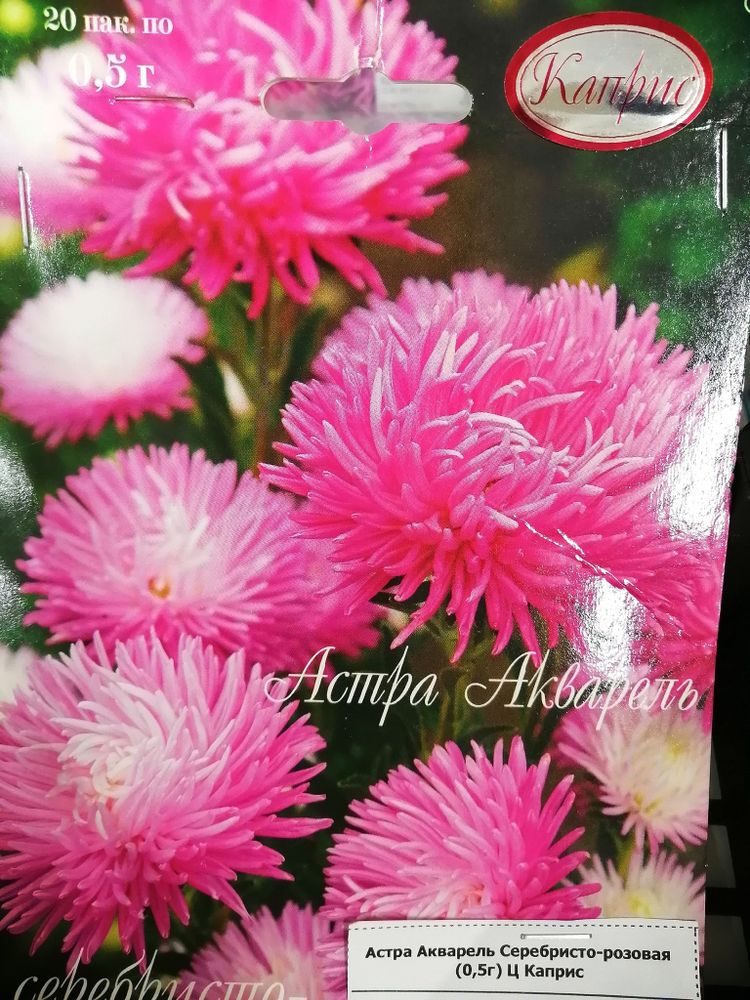 Астра Акварель Серебристо-розовая (0,5г) Ц Каприс