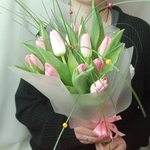 Букет розовых тюльпанов 11 шт. с берграсом в матовой пленке