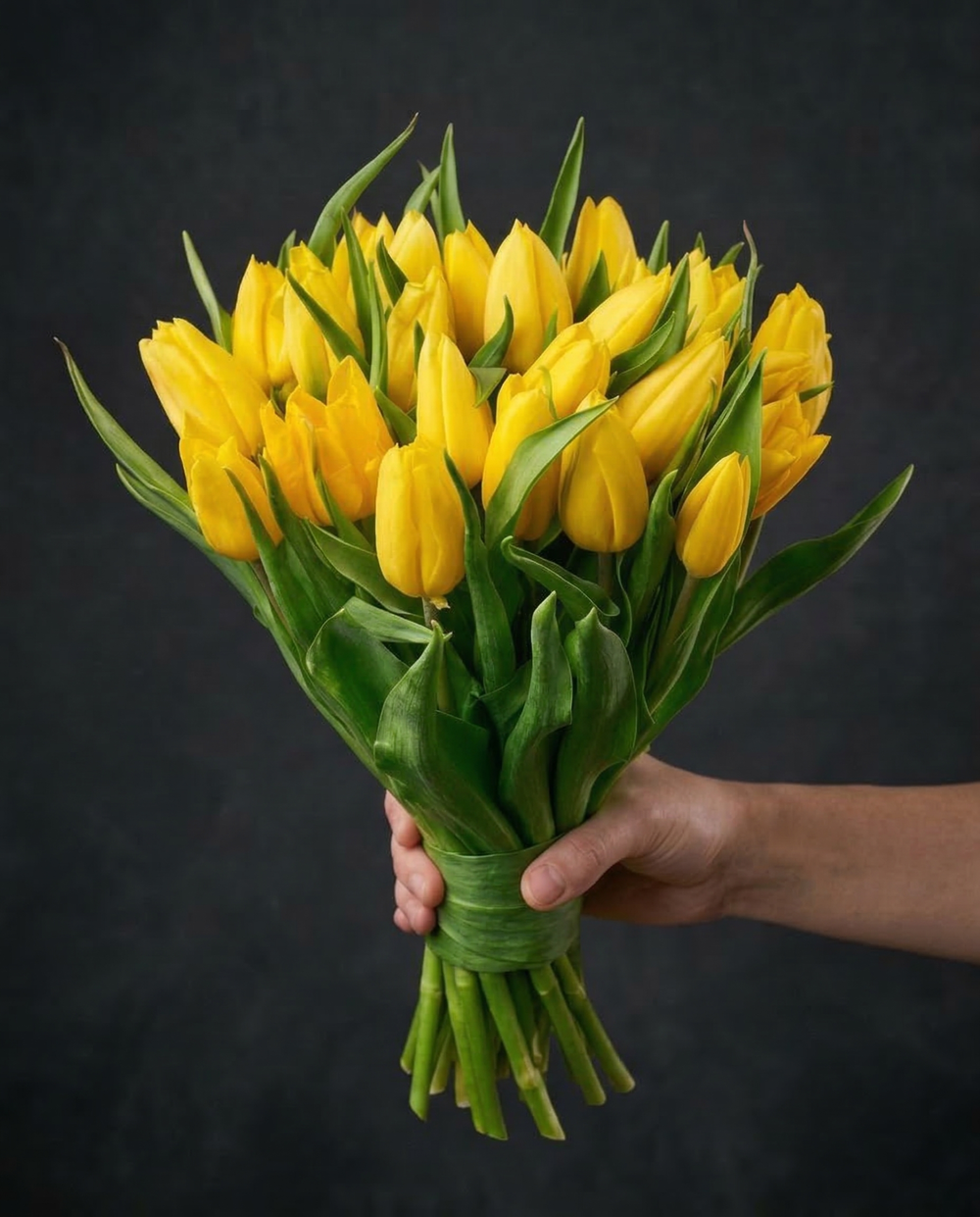 Тюльпаны желтые