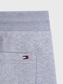 Шорты Tommy Hilfiger Embroidered Tommy Logo Grey Heather