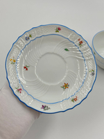 Чайная пара Richard Ginori