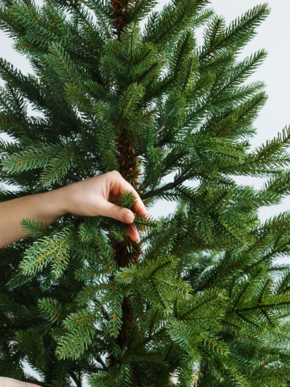 Елка искусственная «НОРДМАН» (Литая) от 210 см / 2.1 м