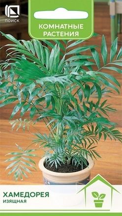Хамедорея