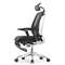 Кресло EXPERT 2 SPRING RSPM 01 (сидение MAX с поднож, подлокотн 6D(360), сетка чёрн/каркас чёрн)