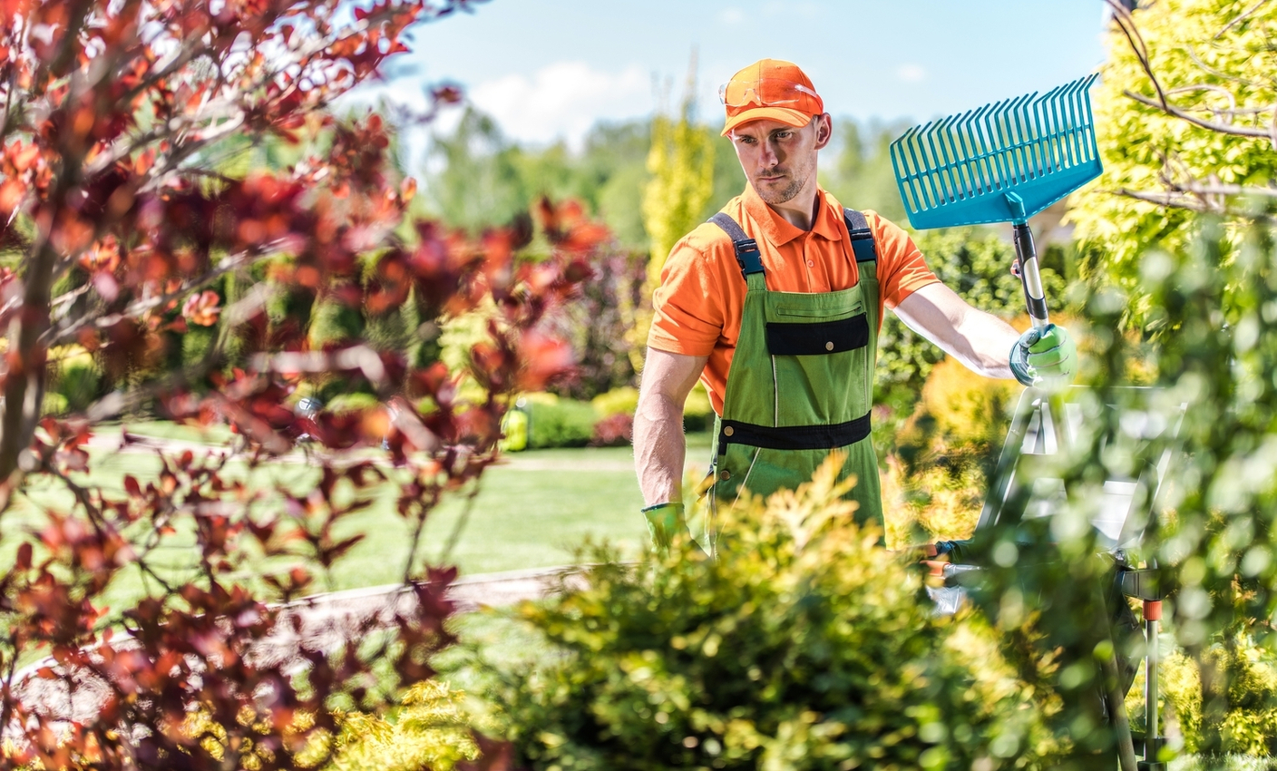 4 причины выбрать измельчитель травы и веток от ООО "ГармТех" для вашего садового участка