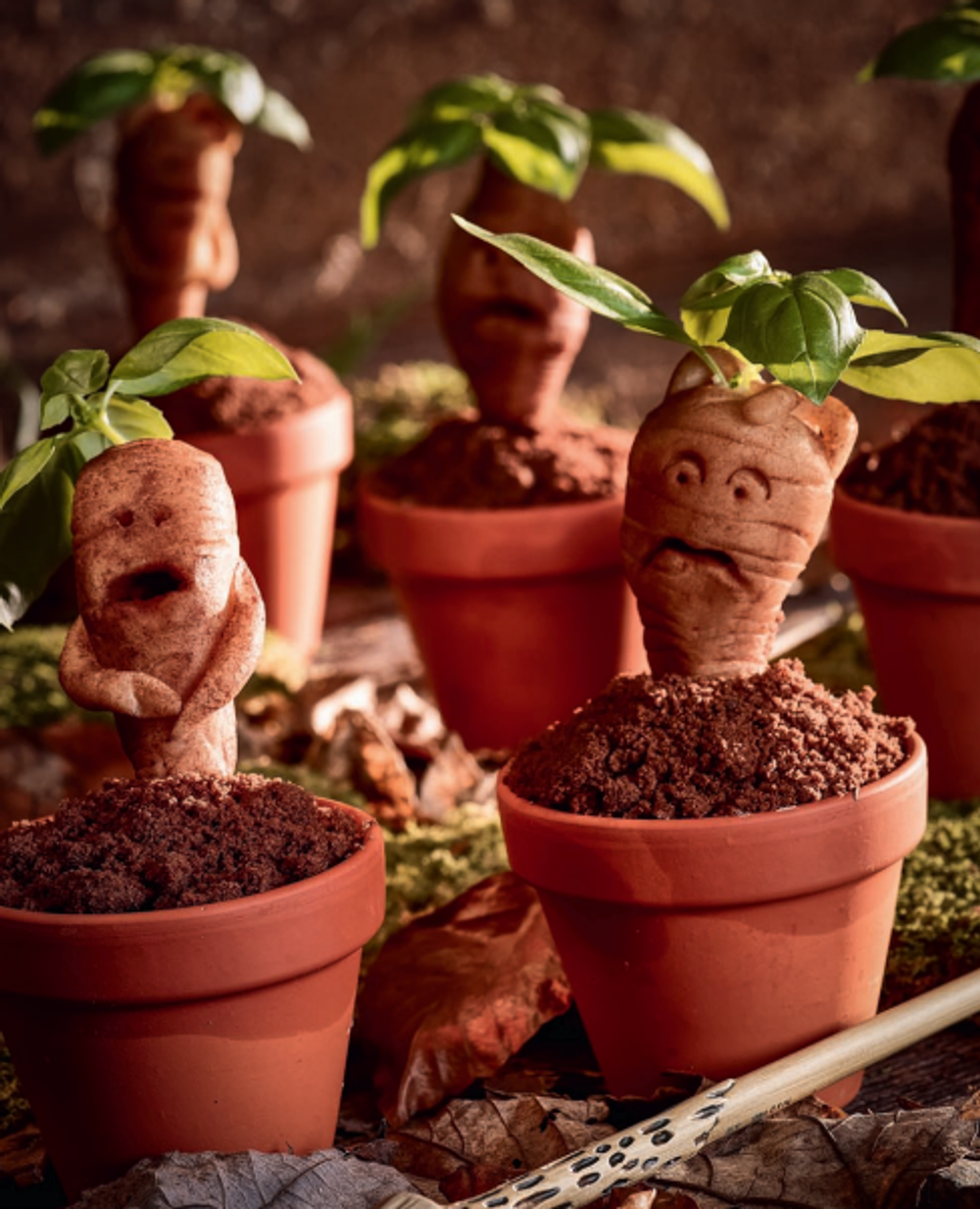 НОВИНКА! ДЕСЕРТ В ГОРШОЧКЕ - ДЕТЁНЫШ МАНДРАГОРЫ - практика