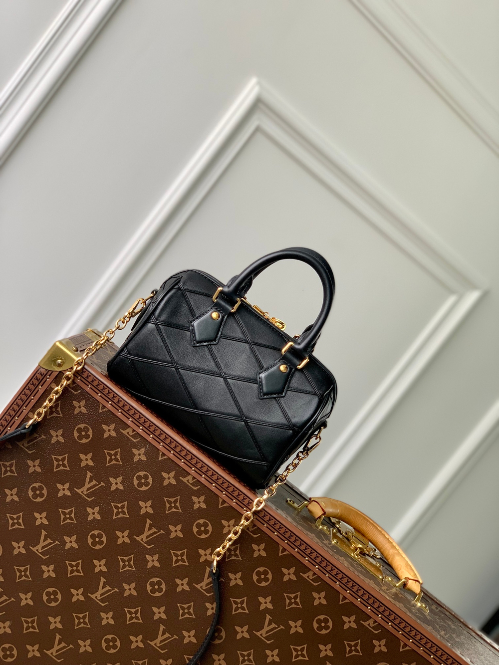 Louis Vuitton Speedy 20