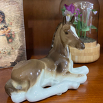 Жеребёнок лежащий