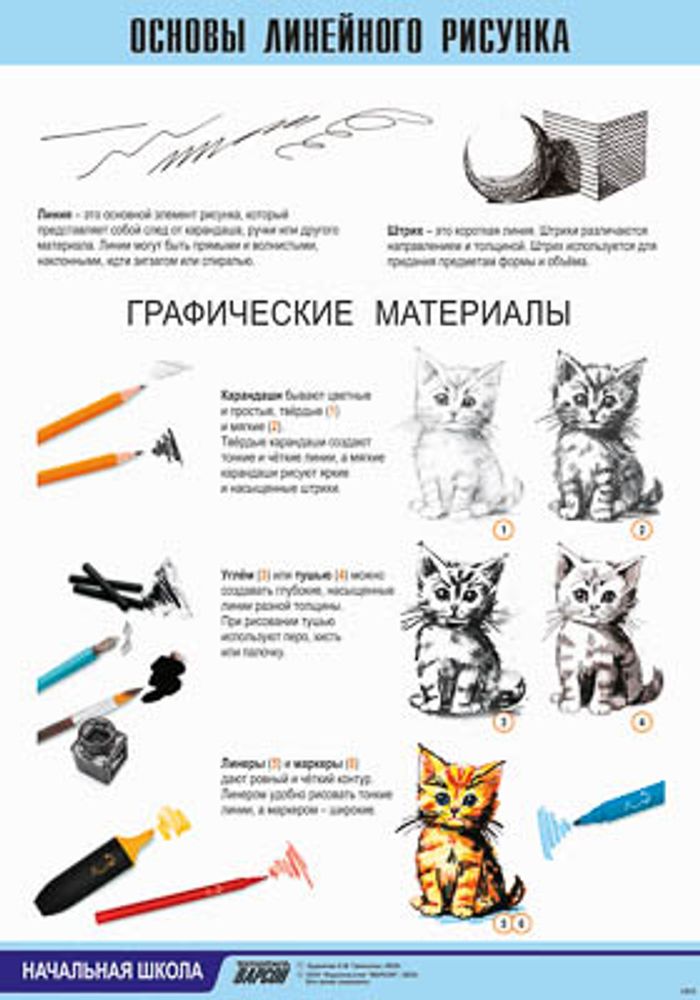 Таблица виниловая "Основы линейного рисунка"