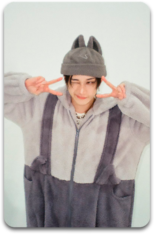 Карта / STRAY KIDS #3869